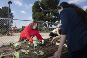 Two women are working on a parcel, manipulating a couple of plants