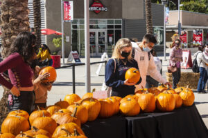 People pick out pumpkins