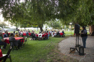 Festively decorated tables and chairs on green lawn