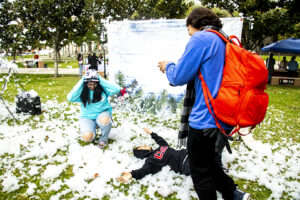 Three students play in the snow on the grass. One student makes snow angels.