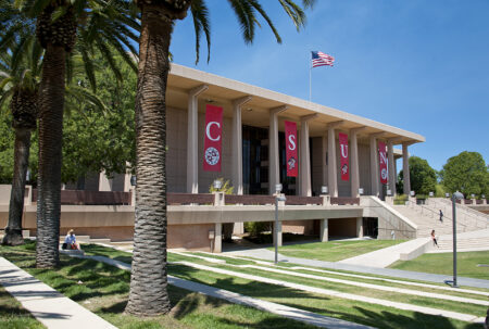 960oviatt Library Palm Trees Csun Newsroom