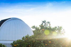 One of CSUN’s two observatories peeks through the trees in the Orange Grove