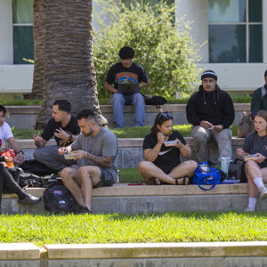 Students gather under the palm trees on the lawn in front of the University Library.