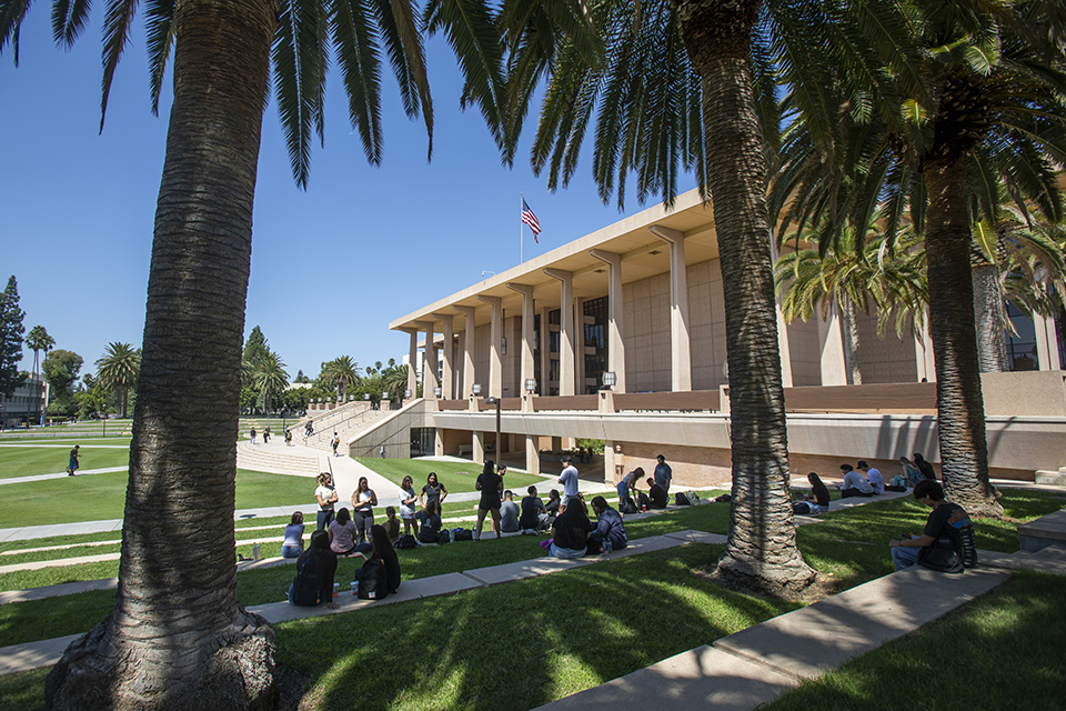 Students rest in the shade of palm trees on the CSUN University Library Lawn.