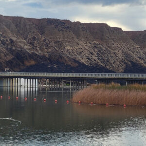 Photo of charred hillside around Castaic Lake.