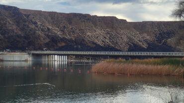 Photo of charred hillside around Castaic Lake.