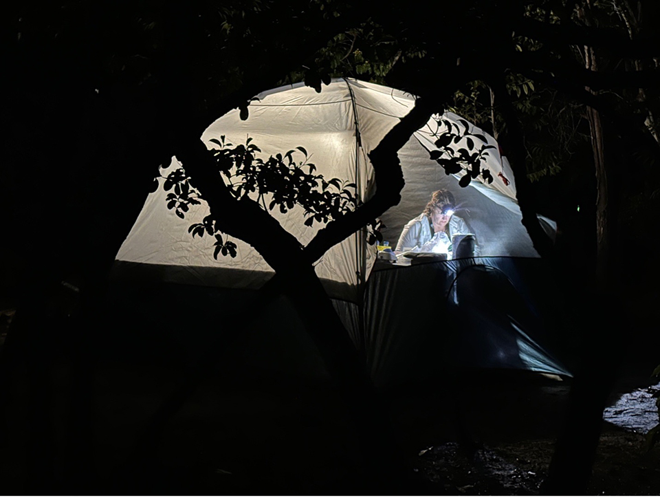Denita Weeks' headlamp illiuminates her tent as she works in the forest at night.