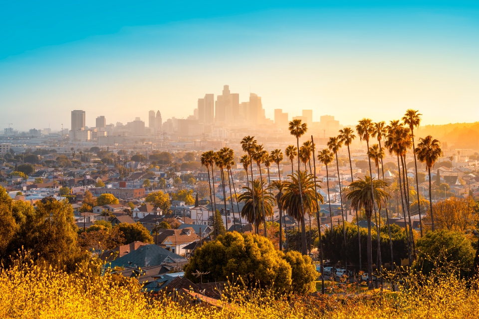 Wide Shot of the the city of Los Angeles during a sunrise.