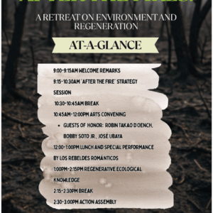 "After the fires" flyer