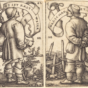 a picture of the ice age