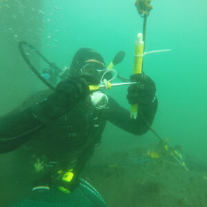 CSUN Part of Network Monitoring Health of Ocean Along Calif. Coast