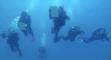 A group of college students underwater with survey equipment