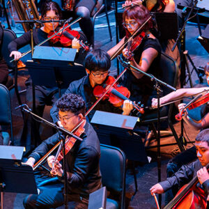 Student musicians, dressed in black, play stringed instruments.