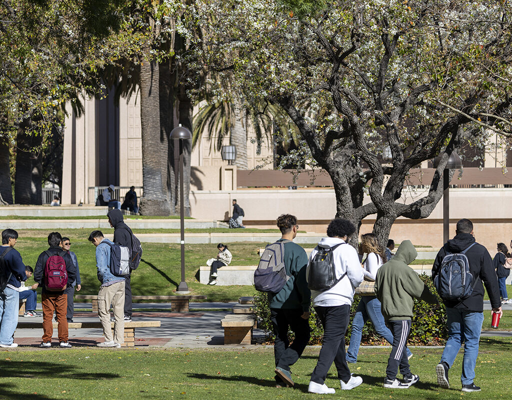 Students walk on campus near the University Library.