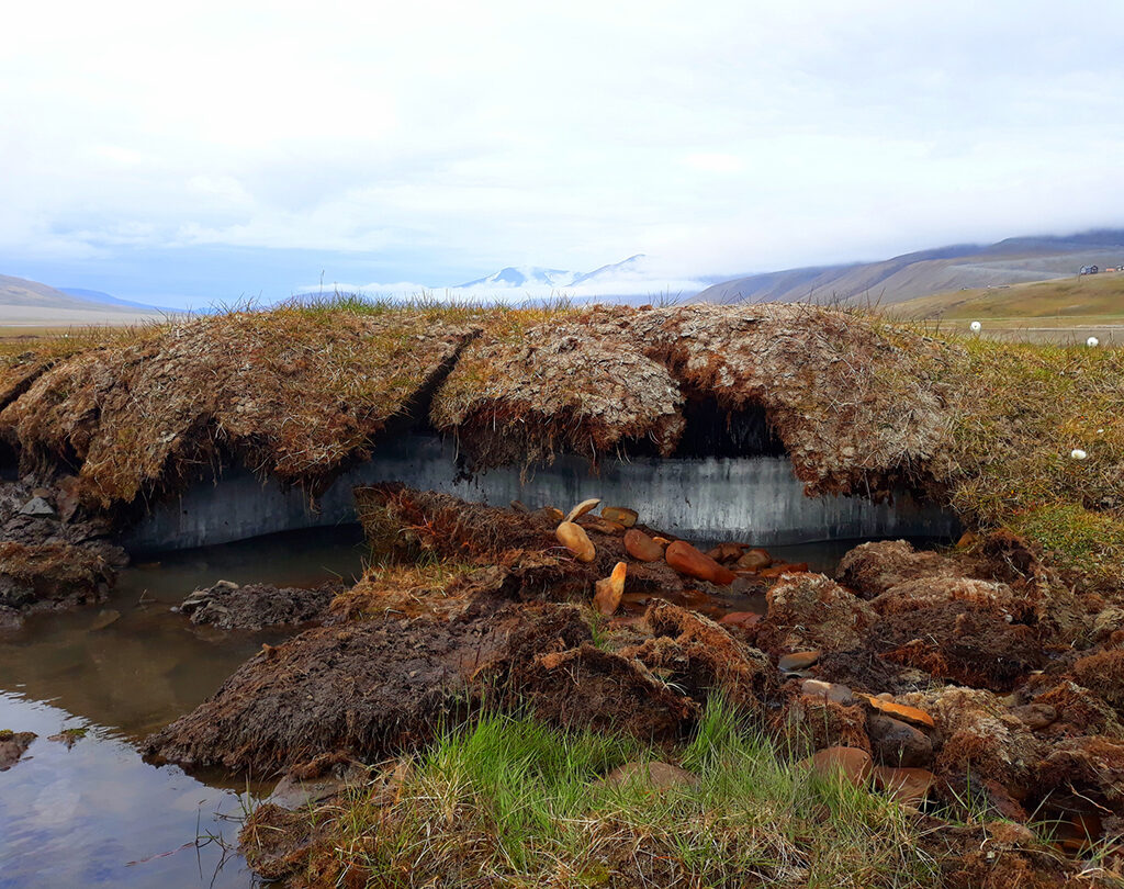 Permafrost under the layer of soil