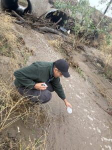Student collecting water samples