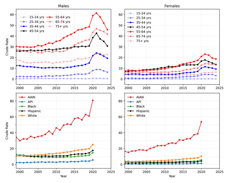 Graphs of Yearly crude rates stratified by age from 1999 to 2024 and by race from 1999 to 2020.