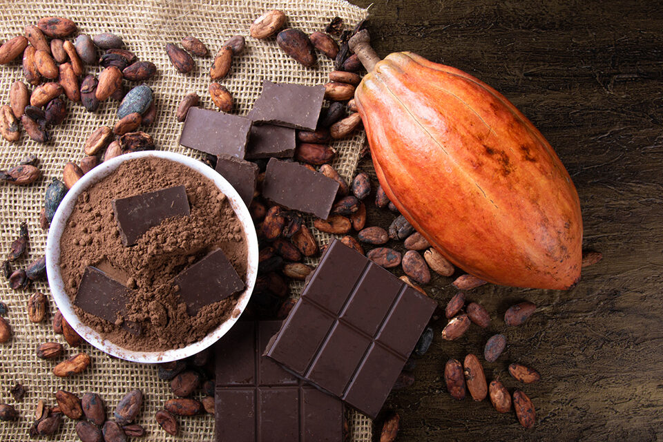Chocolate is so much more that a gift for Valentine’s Day. CSUN history professor Patricia Juarez-Dappe said chocolate also provides lessons in understanding larger historical processes, such as Mesoamerican civilizations, colonialism, the trans-Atlantic slave trade and 20th century human trafficking, and the Industrial Revolution. Photo by gustavomellossa, istock.