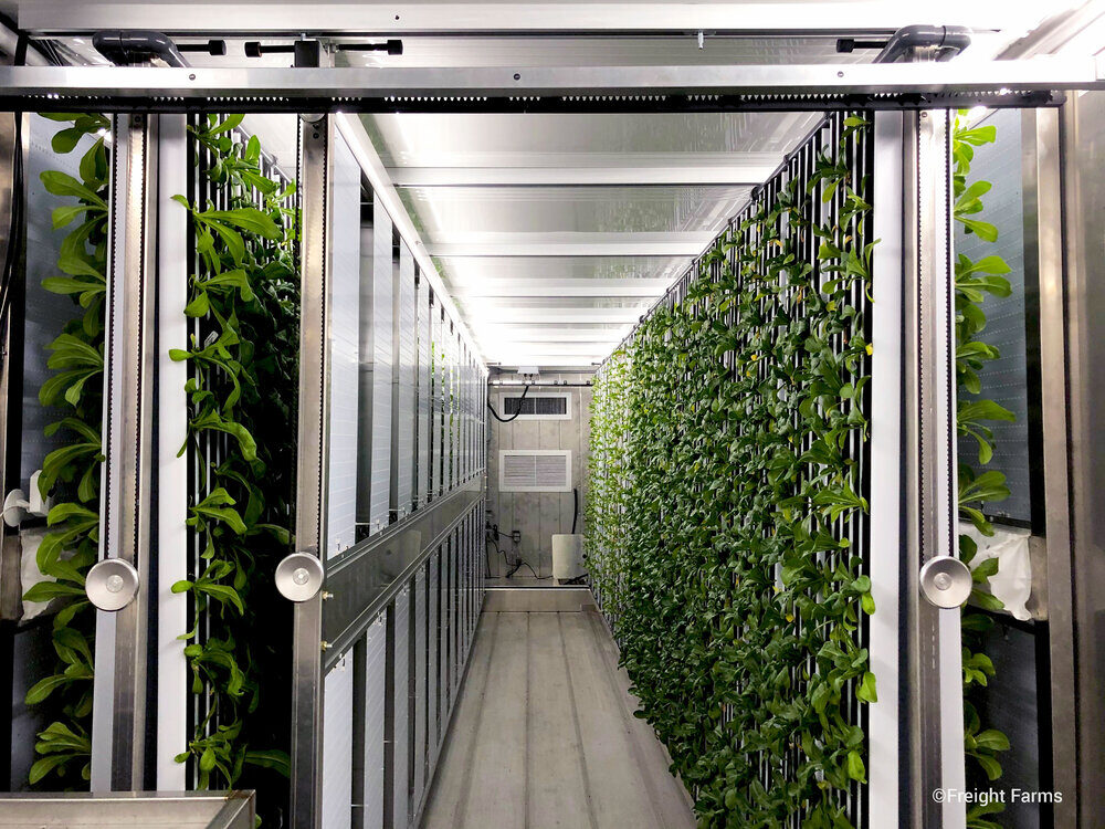 CSUN has launched a new initiative to shorten the distance from farm to table by growing its own produce using a new form of agriculture- freight farming. Above is a photo of the inside of a container farm. Image courtesy of Freight Farms.