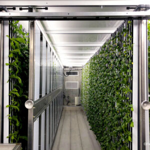 CSUN has launched a new initiative to shorten the distance from farm to table by growing its own produce using a new form of agriculture- freight farming. Above is a photo of the inside of a container farm. Image courtesy of Freight Farms.