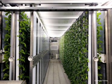 CSUN has launched a new initiative to shorten the distance from farm to table by growing its own produce using a new form of agriculture- freight farming. Above is a photo of the inside of a container farm. Image courtesy of Freight Farms.