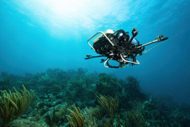 Robot May Help CSUN Marine Biologist Find Clues to Protect Vanishing Corals