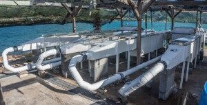 The four flumes that were used to complete the recently published study. The flumes were built with the help of the CSUN Science Shop and each is 5 m in length (~16 ft), and they are located at the UC Berkeley, Richard B. Gump research lab. Over the course of 3 years, they were used to complete year-long experiments in which replica coral reefs were built in each flume and incubated under conditions simulating future predicted levels of ocean acidification. Photo provided by Peter Edmunds.