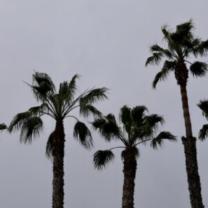 CSUN professor Amalie Orme says several surprising factors are related to the state’s cooler climate this spring. Photo by Laura Fay, IStock
