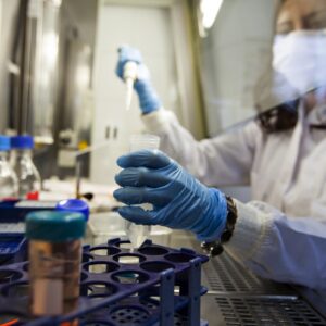A grant program geared toward interested students in stem cell research launched this past fall at CSUN. Photo by gevende, iStock.