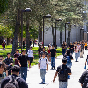 Students walk along a tree-lined path on the CSUN campus.